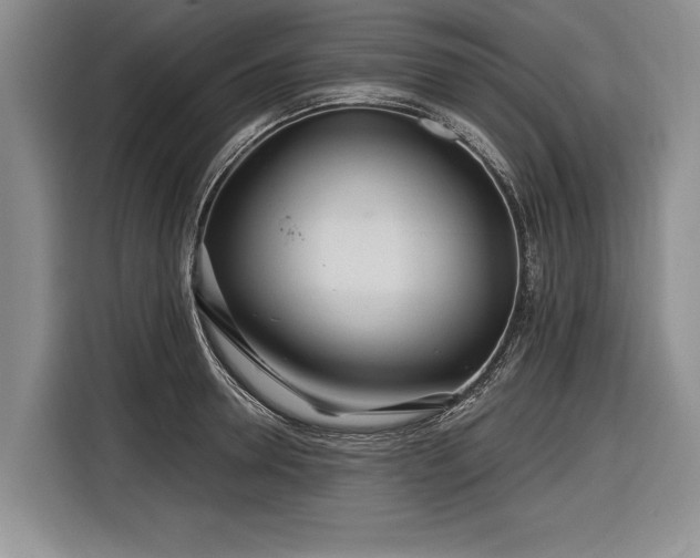 X0000116890946200912221451