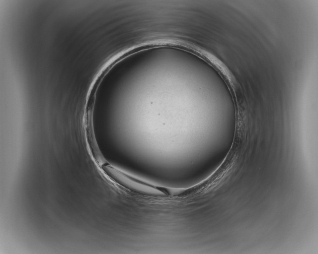 X0000116890951200912221451