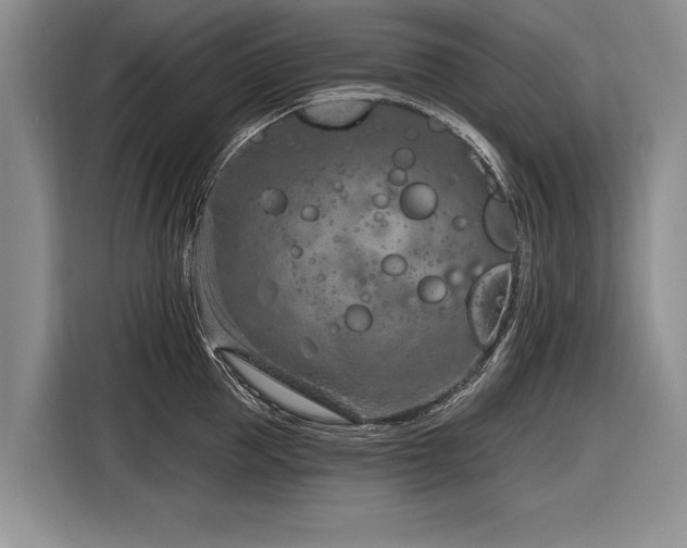 X0000116890953200912221451