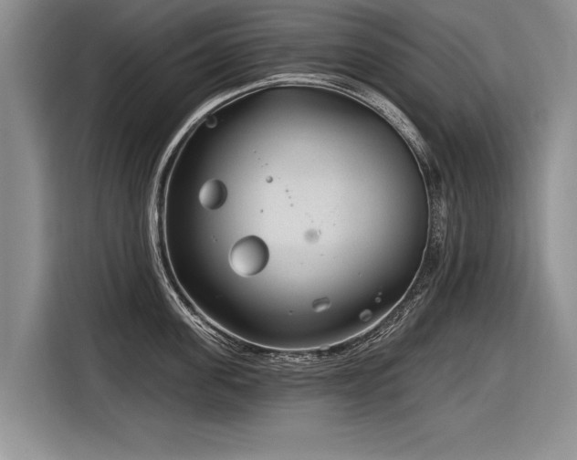 X0000116890955200912221451