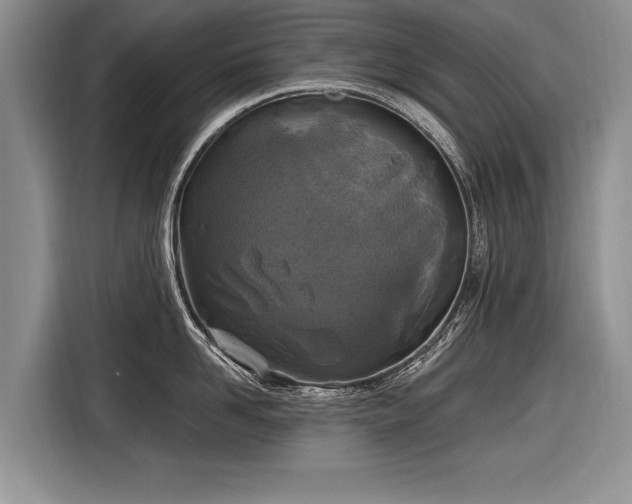 X0000116890958200912221451