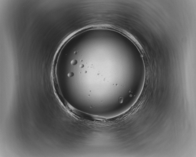 X0000116890959200912221451