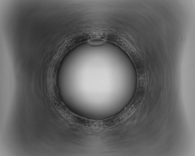 X0000116890961200912221450