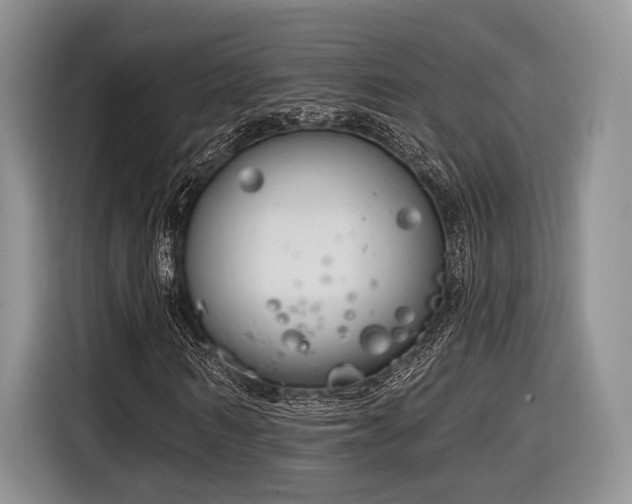 X0000116890962200912221450