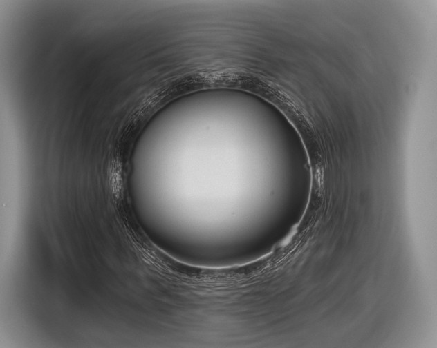 X0000116890963200912221450