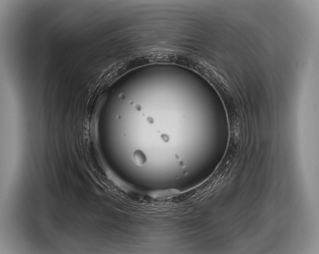 X0000116890964200912221450