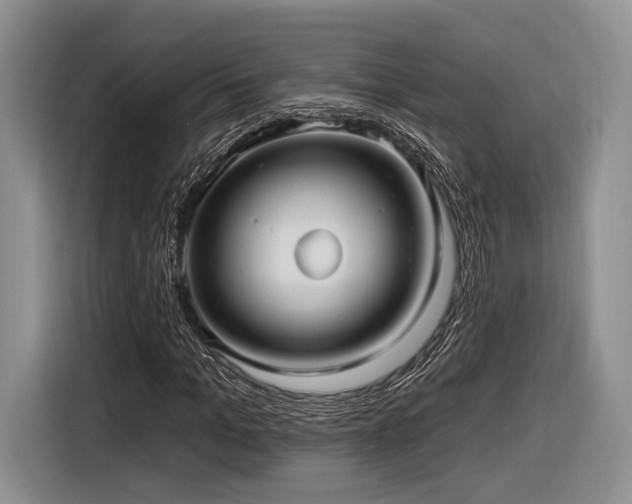 X0000116890965200912221450
