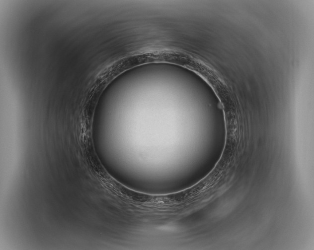 X0000116890966200912221450