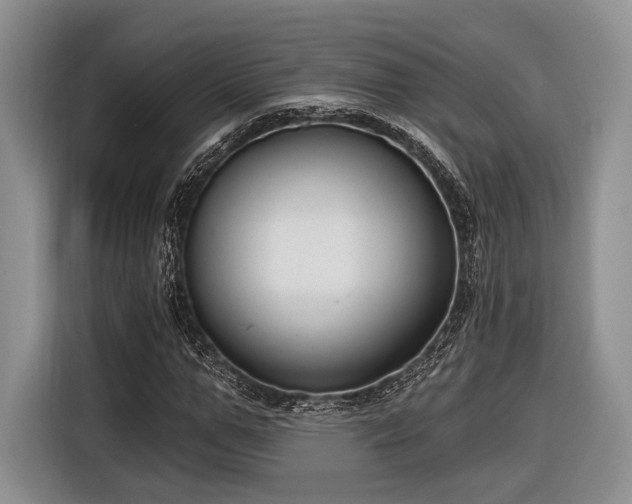 X0000116890967200912221450