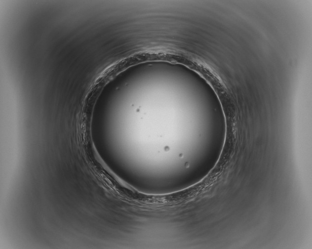 X0000116890968200912221450