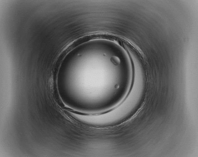 X0000116890969200912221450