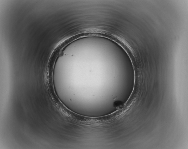 X0000116890971200912221450