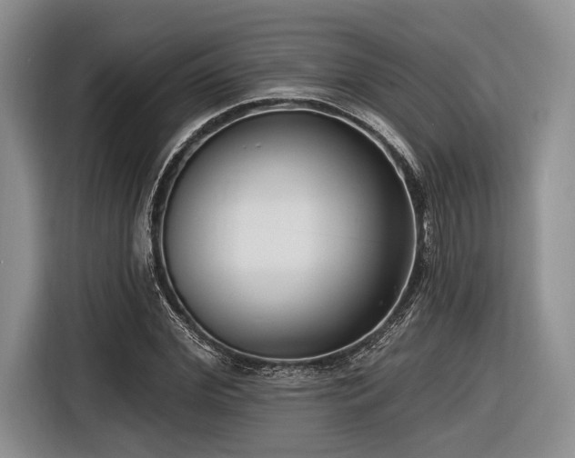 X0000116890972200912221450