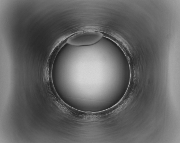 X0000116890973200912221450
