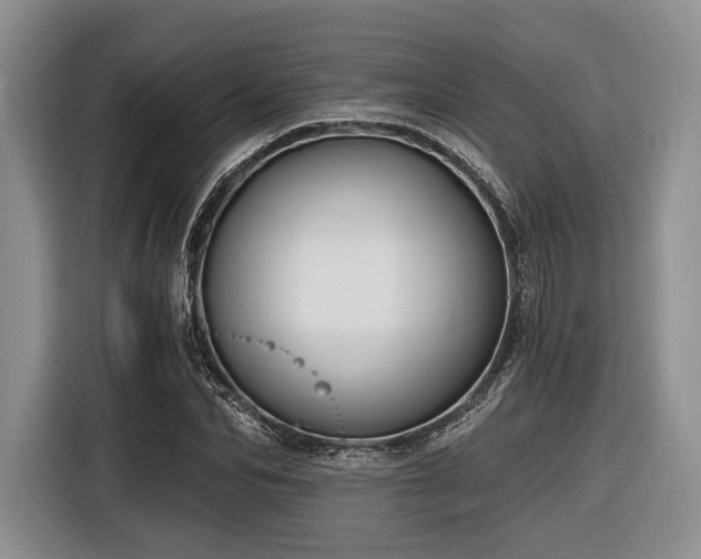X0000116890974200912221450