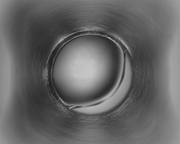 X0000116890975200912221450