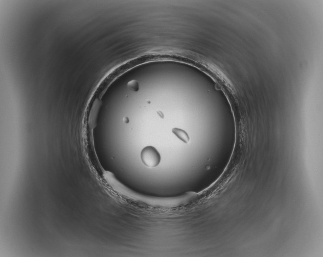 X0000116890976200912221450