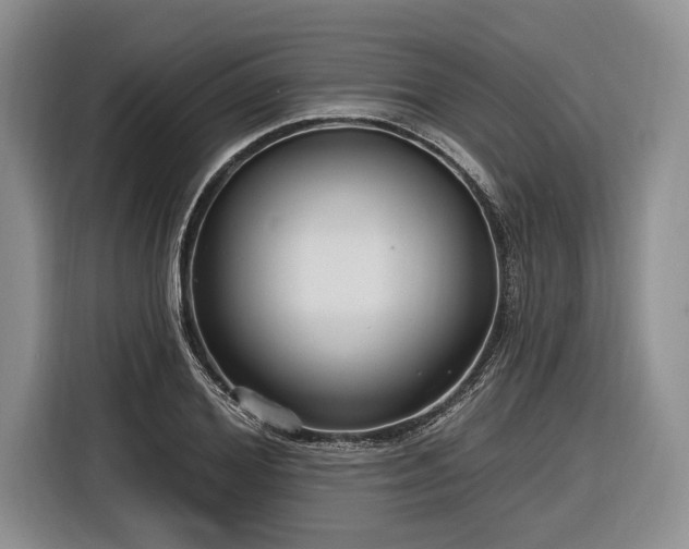 X0000116890980200912221450