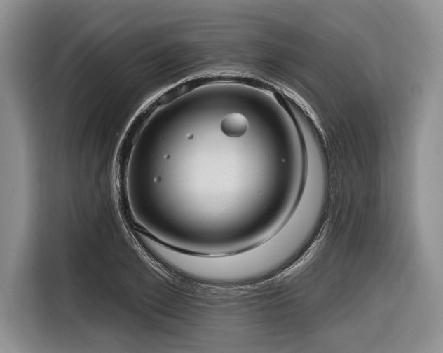 X0000116890981200912221450