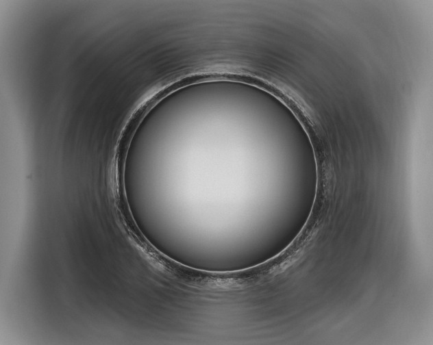 X0000116890982200912221450