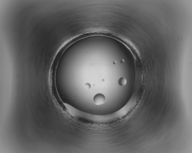 X0000116890983200912221450