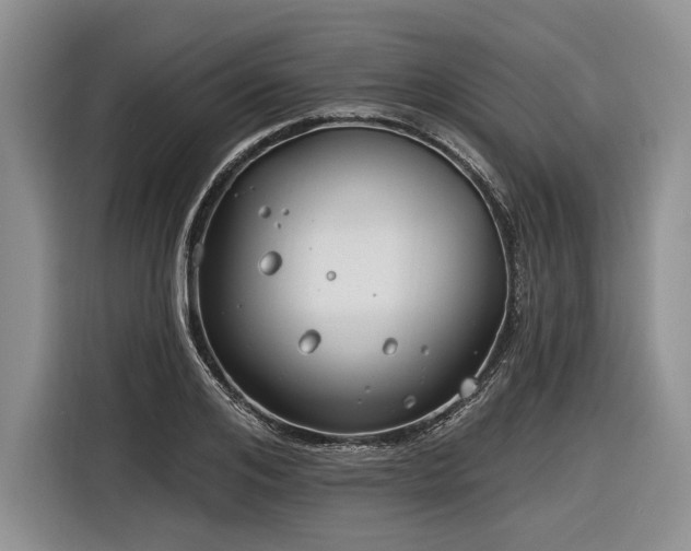 X0000116890984200912221450