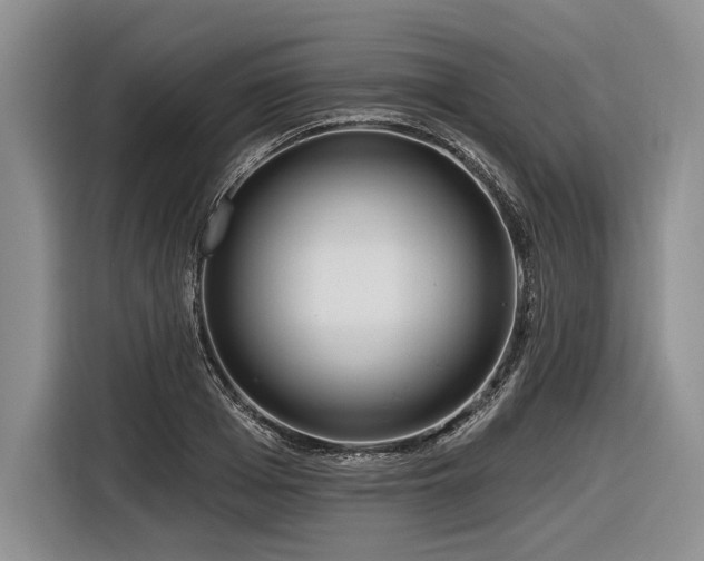 X0000116890985200912221450