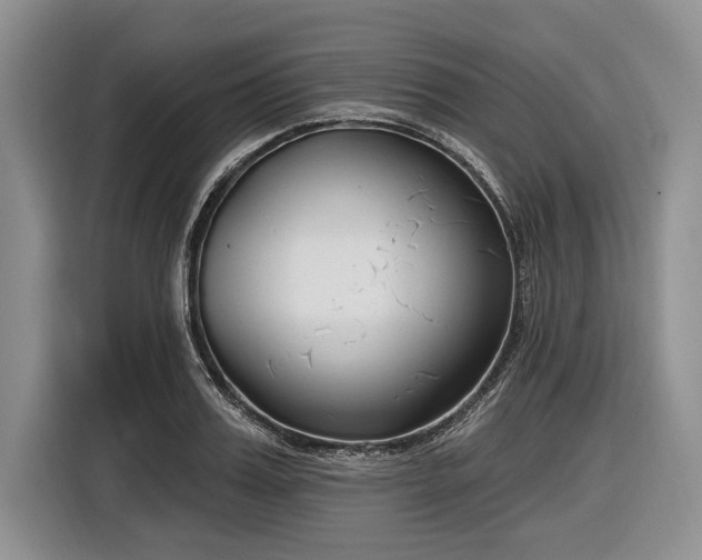 X0000116890987200912221450