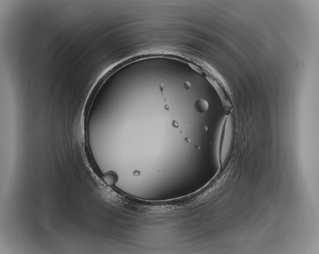 X0000116890988200912221450