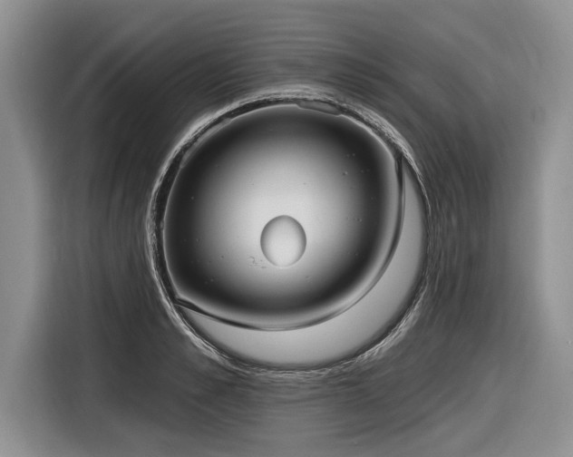 X0000116890989200912221450