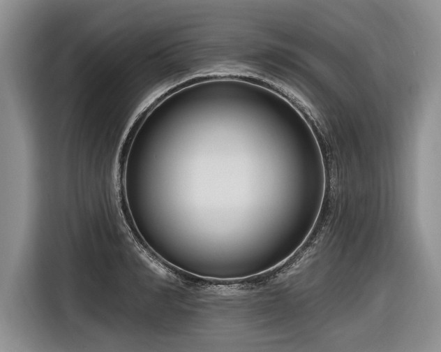 X0000116890990200912221450