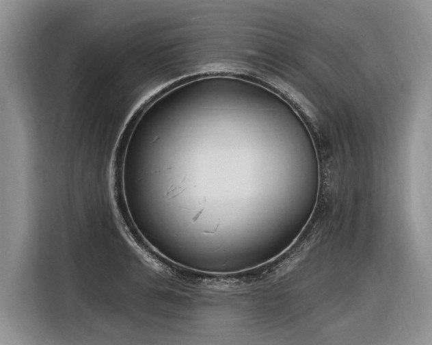 X0000116890991200912221450