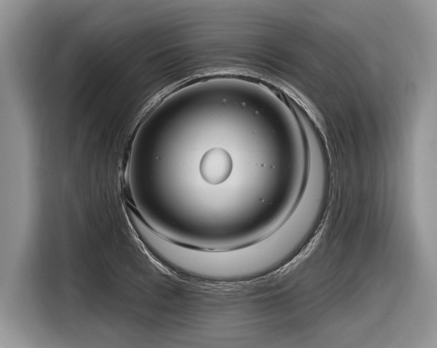X0000116890993200912221450