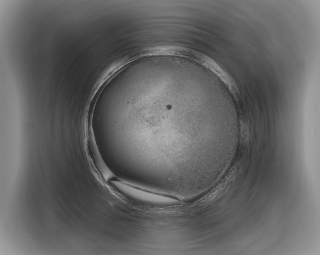 X0000116890994200912221450