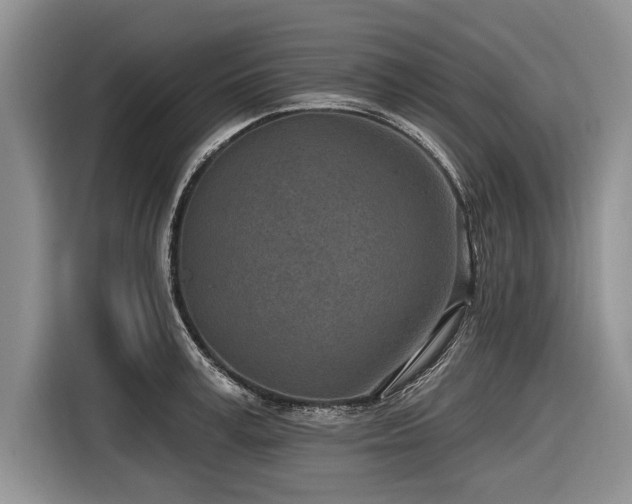 X0000116890995200912221450
