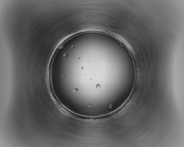 X0000116890996200912221450