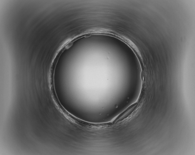 X0000116890997200912221450
