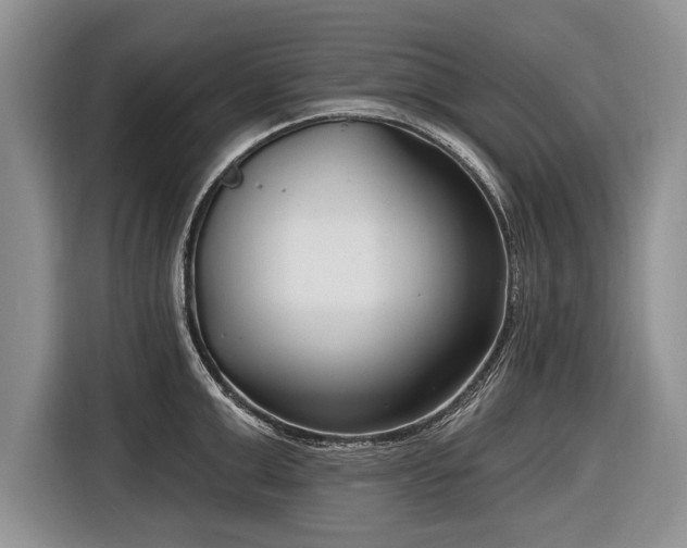 X0000116890999200912221450