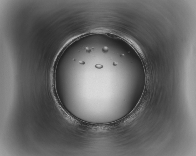 X0000116891000200912221450
