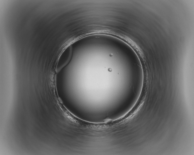 X0000116891001200912221450