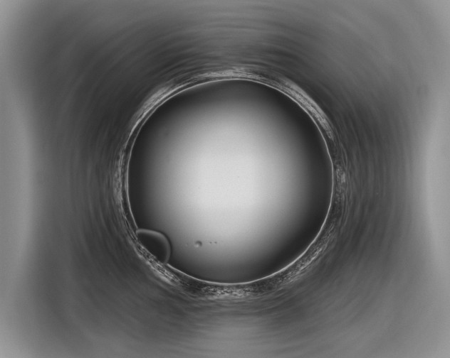 X0000116891002200912221450