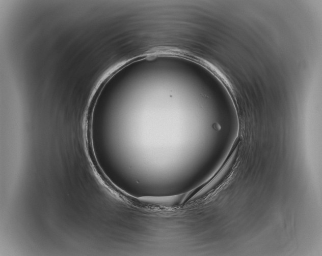 X0000116891003200912221450