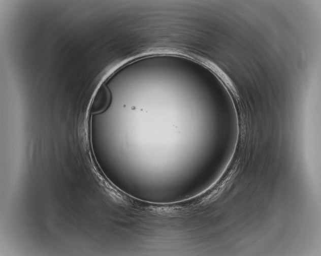 X0000116891004200912221450