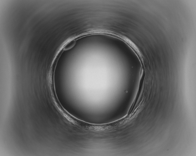 X0000116891005200912221450