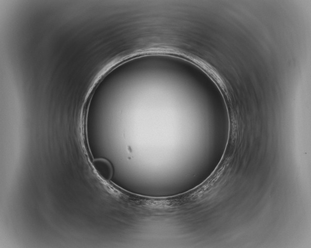X0000116891006200912221449
