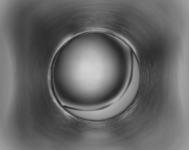 X0000116891007200912221449