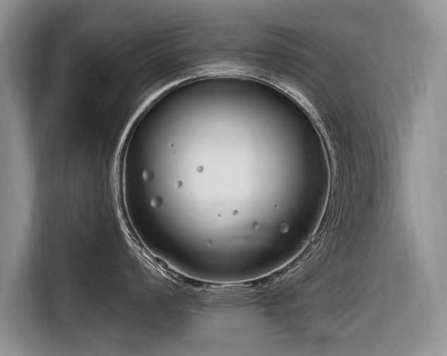 X0000116891008200912221449