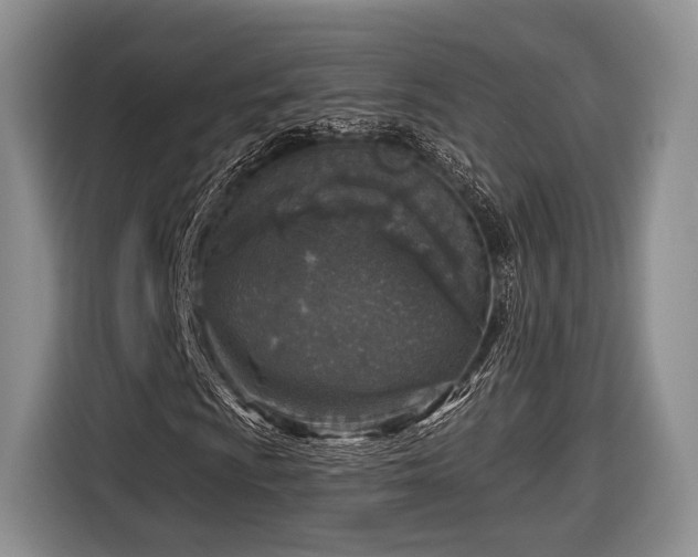 X0000116891009200912221449