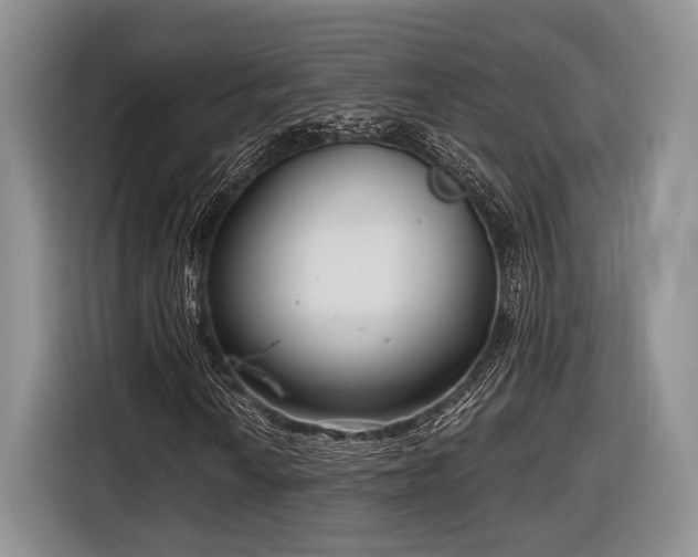 X0000116891010200912221449