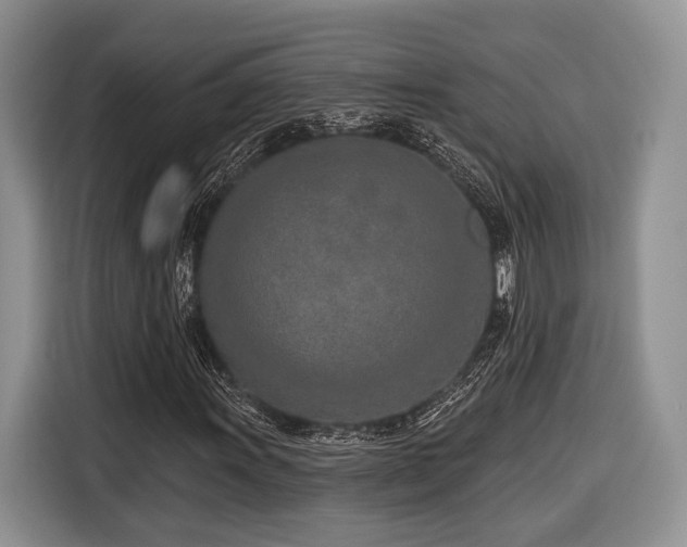 X0000116891011200912221449